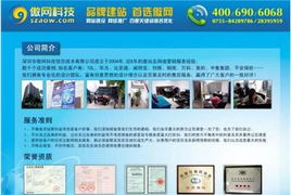 设计公司网站建设 网络推广