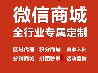 图 网站建设 制作 深圳专业建网站 高端定制开发app 深圳网站建设推广